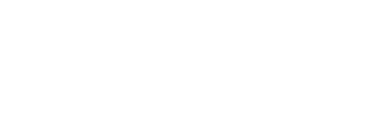 Alla Ricerca di Spock