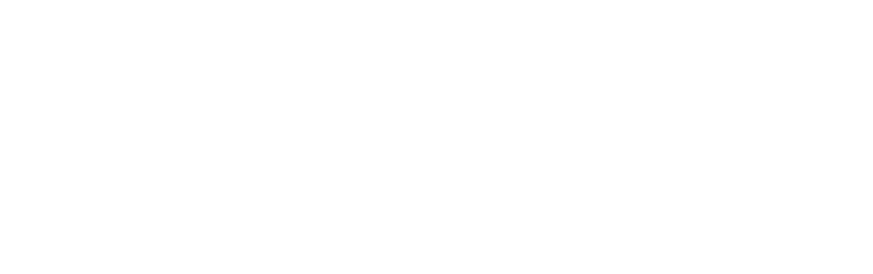 12 Monkeys