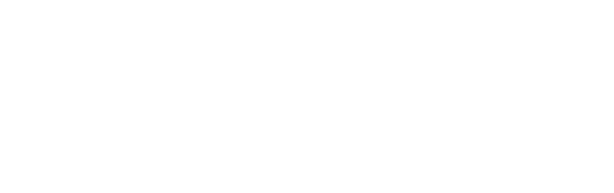 American Pie 2