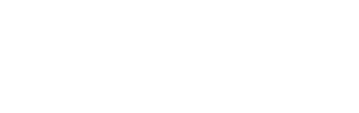 Terminal