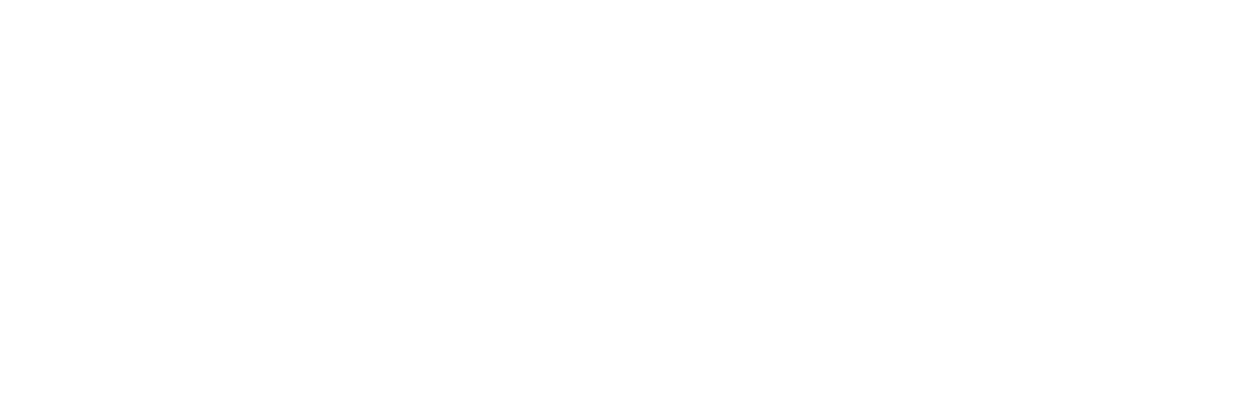 Star Trek: La nemesi