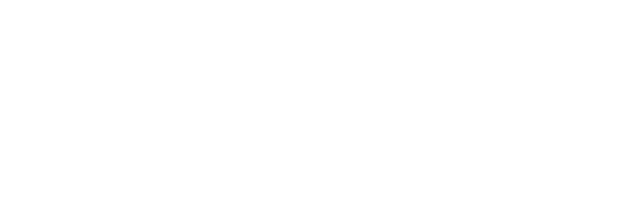 IL GLADIATORE II