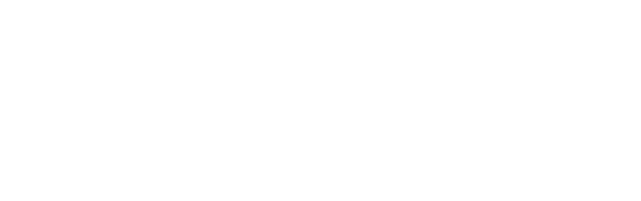 Les Incorruptibles