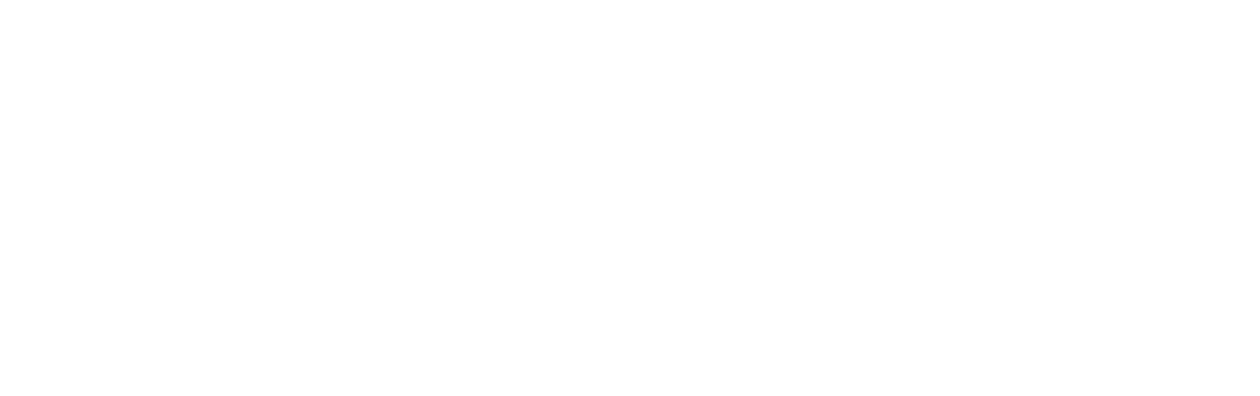 Die Unbestechlichen