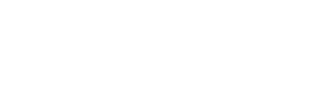 Paw Patrol : Air Rescue
