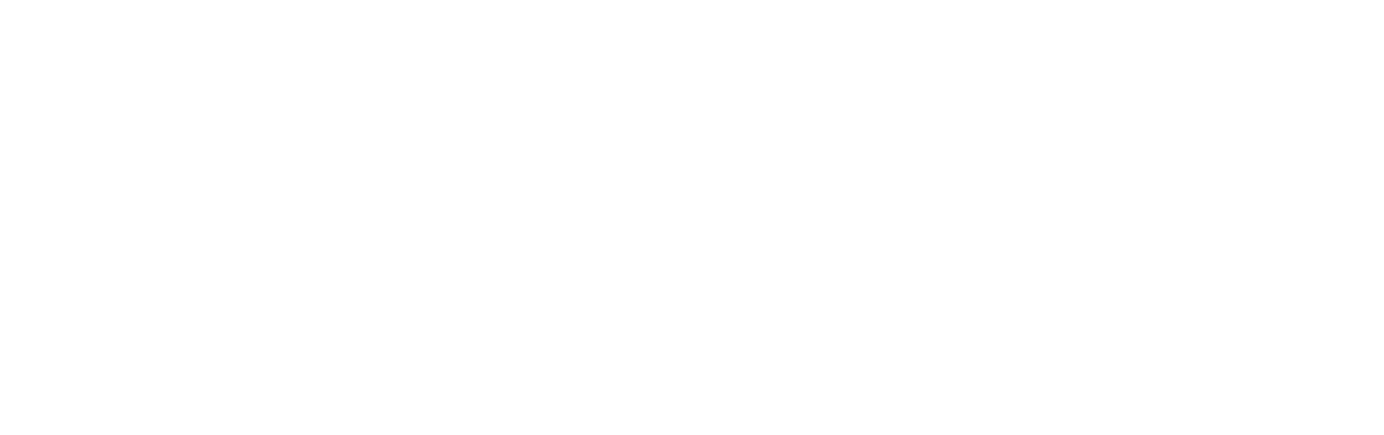 Zoé : Le Mariage