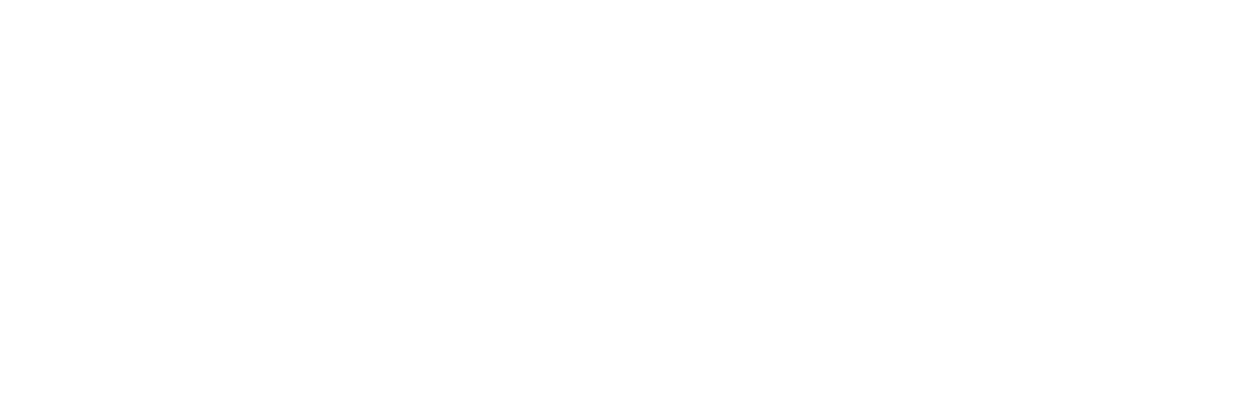 The Substance