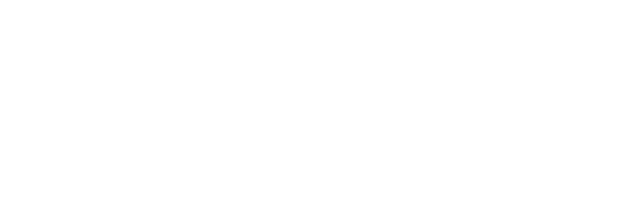 Sonic la Película