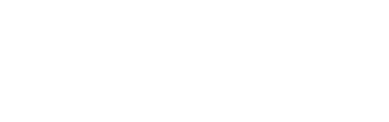 Y a-t-il un flic pour sauver le président ?