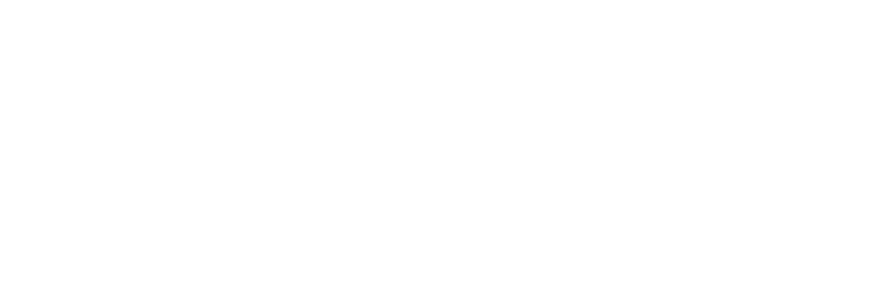 Die nackte Kanone 33⅓
