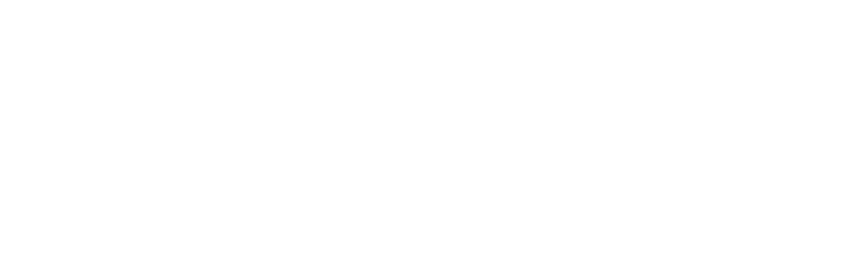 Air Force One Down - Die Agentin des Präsidenten