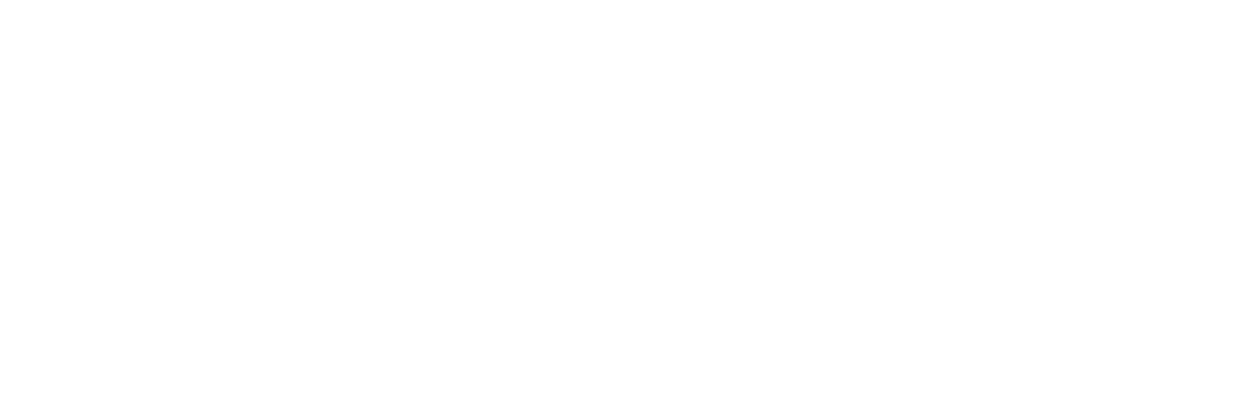 Jason Bourne