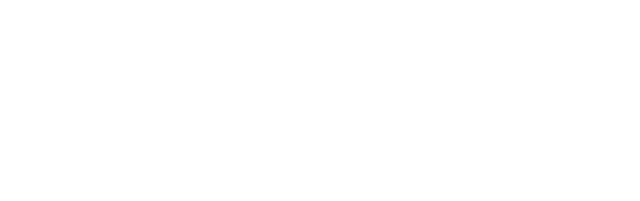The Bourne Identity
