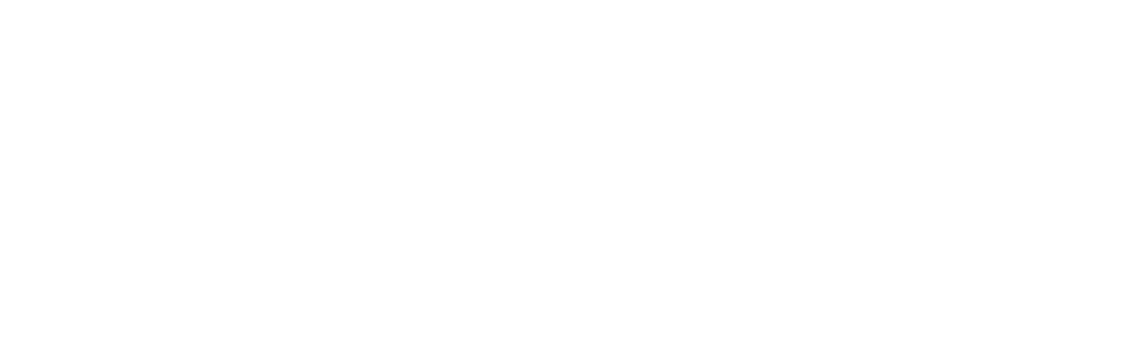 The Bourne Ultimatum