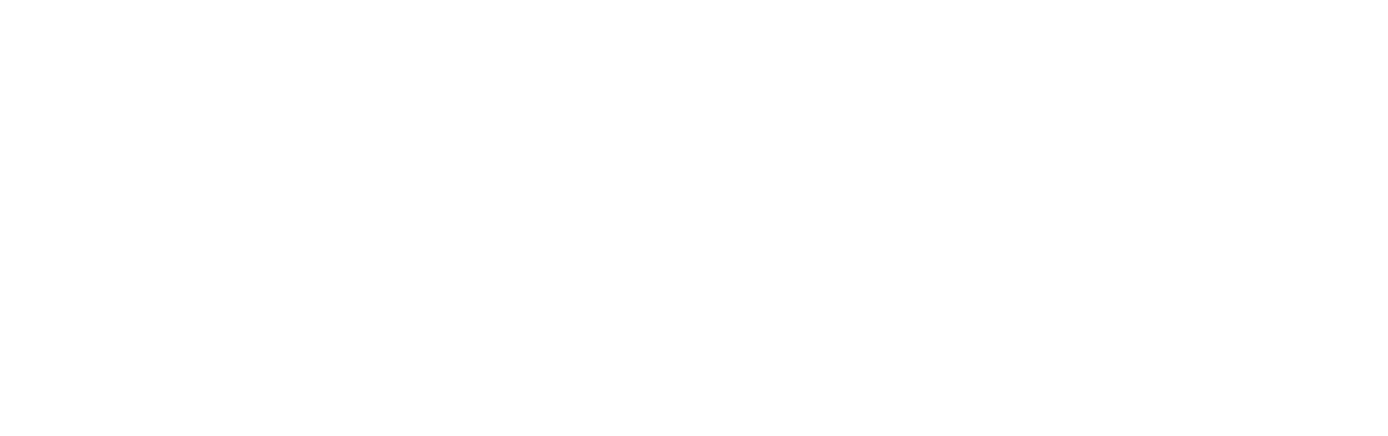 The Bourne Supremacy