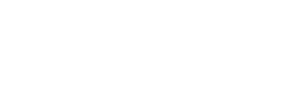 Bus Palladium