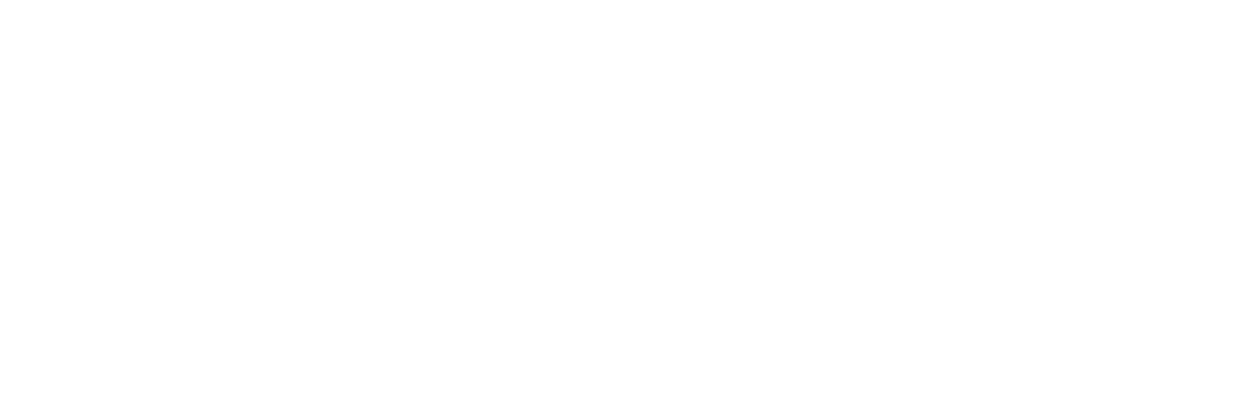 Bravura Indômita