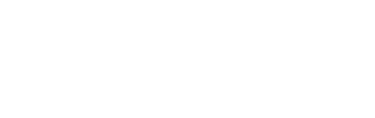 Mission Jungle de la Pat' Patrouille