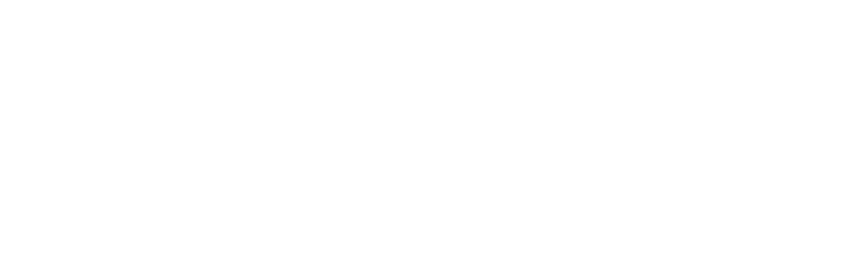 Morning Glory