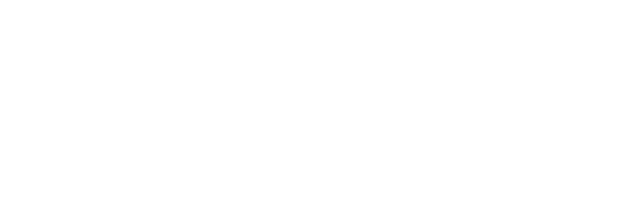 A Difícil Vingança