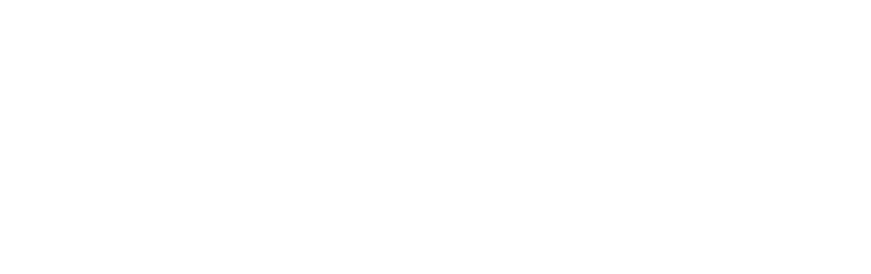 Chien de la casse