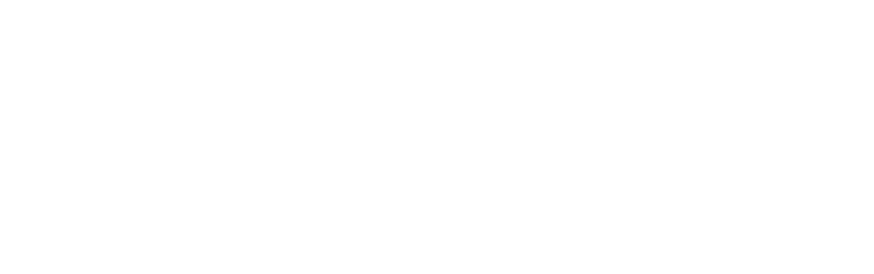 The Wave
