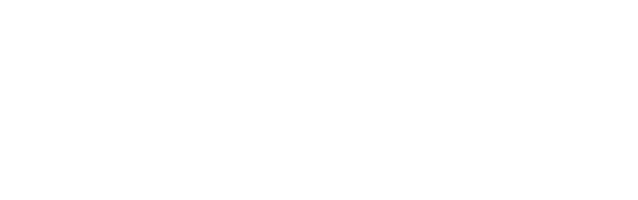 Der Einzige Zeuge