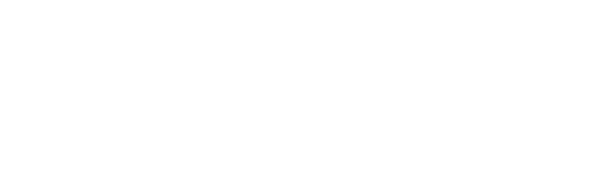 Der englische Patient