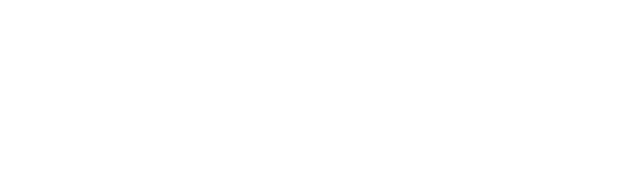 Ninja Turtles 2