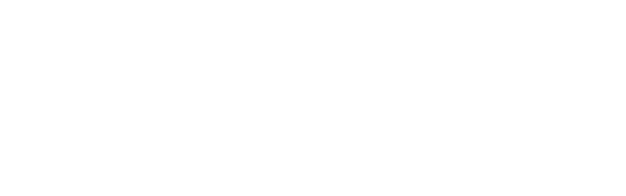 The Dinner