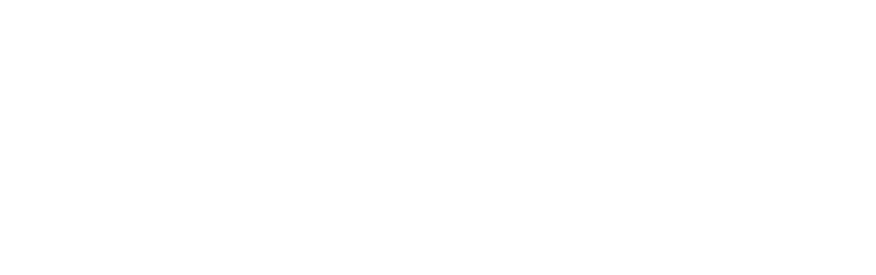 Topuria Matador