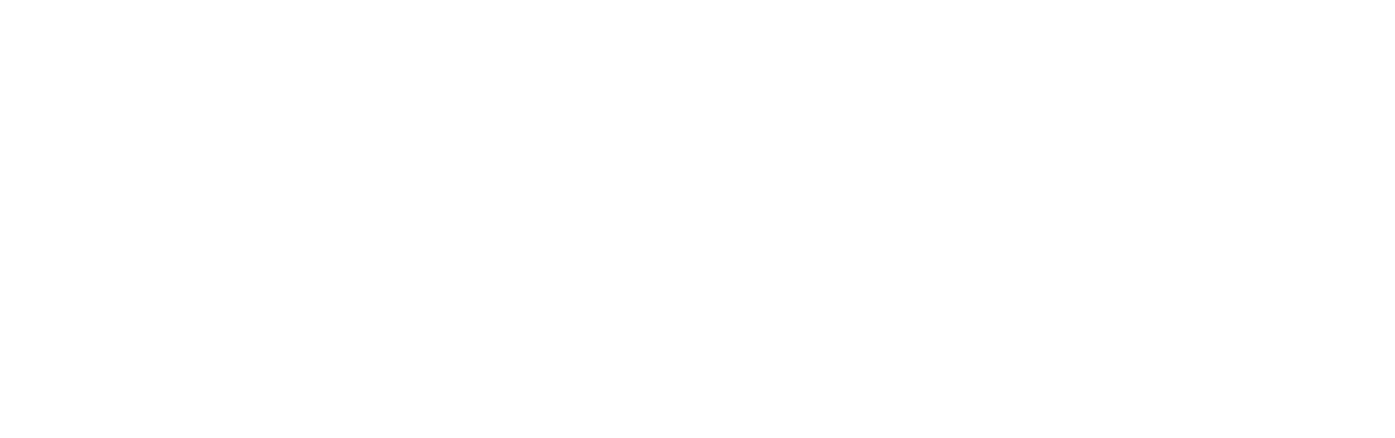 The Brutalist