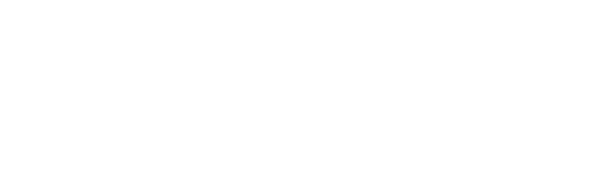 Black Box: Flight 298