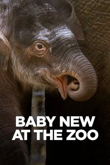 Baby New At The Zoo