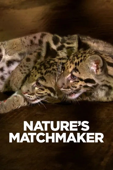 Casamentero de la naturaleza