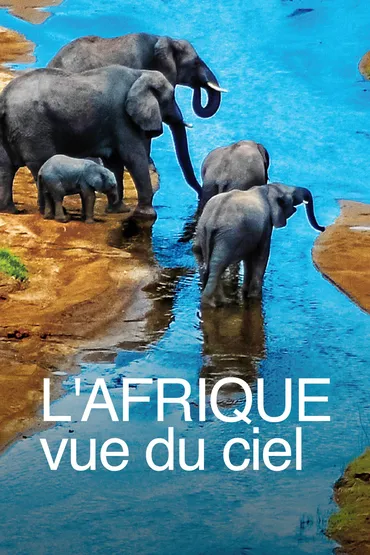 L'Afrique vue du ciel