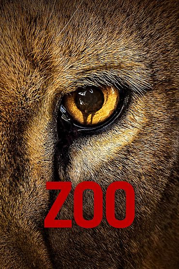 Zoo - Primeira Vitória