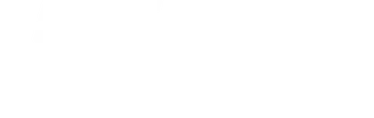 UFC Fight Night em Português 