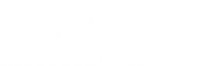 Topuria Matador 