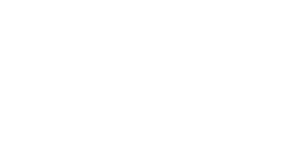 Action Collection CA IT
