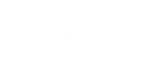 P+ Originals & Exclusives